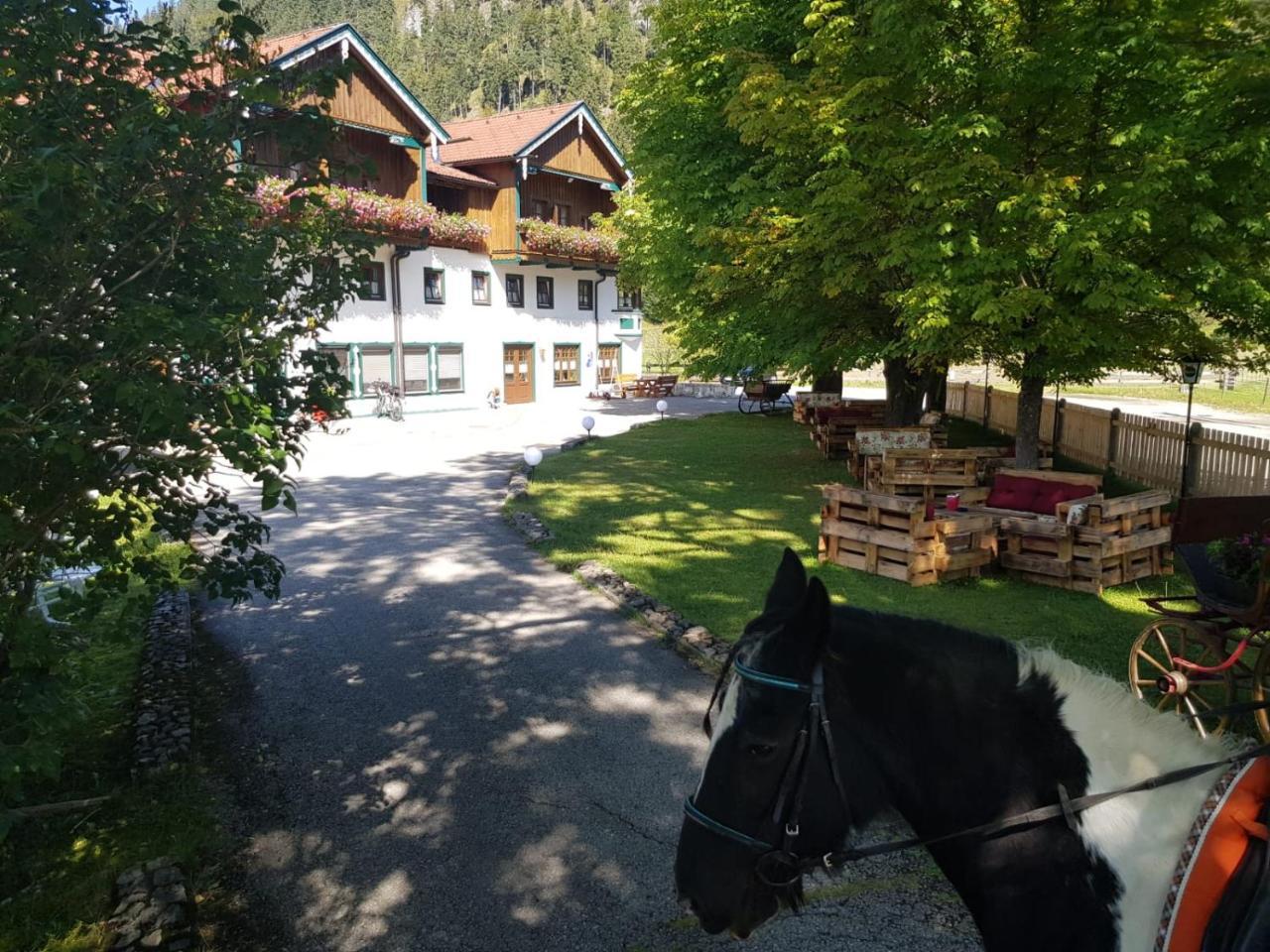 Gutshof Zum Schluxen