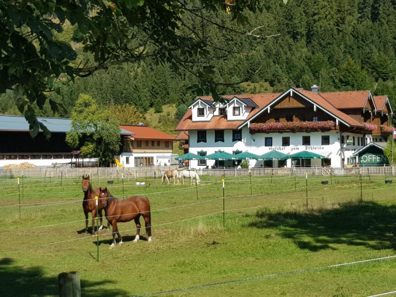 Apartmán Gutshof Zum Schluxen *